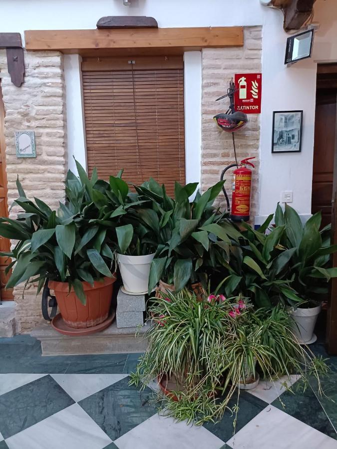 Apartamento Patio De Los Leones Granada Exterior foto